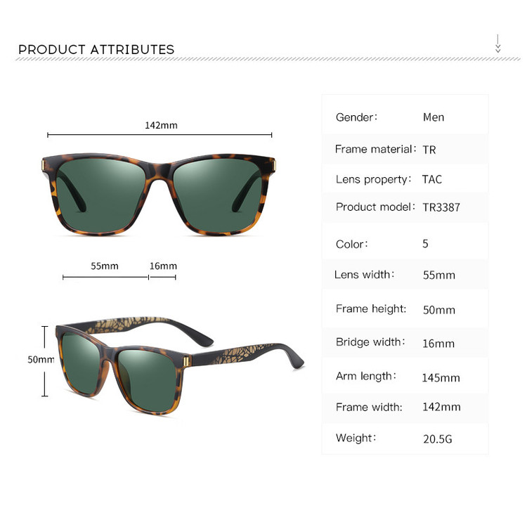 عینک آفتابی مدل TR3387C177-P25 Polarized Albert